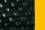 Black/Gold
