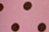 Bubble Bath Pink Dots