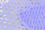 Periwinkle