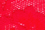 Teaberry