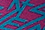 Teal/Pink